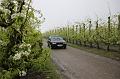 MG Bloesemrit op 24-4-2016 org. Jos&Marie-lou  (96)